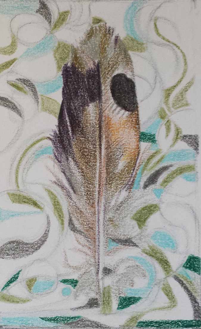 Feather - Colored Pencils
