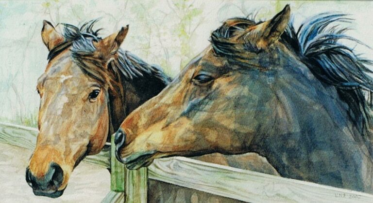 McCloud's Mares - Watercolors