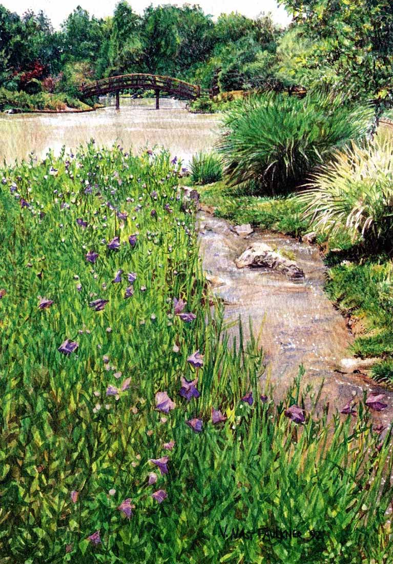 Summer Botanic Gardens - Watercolors